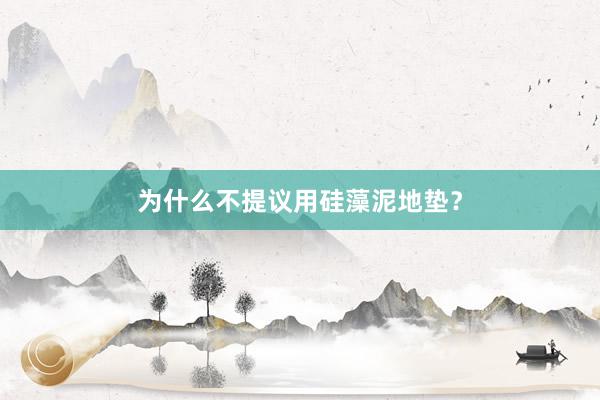 为什么不提议用硅藻泥地垫？